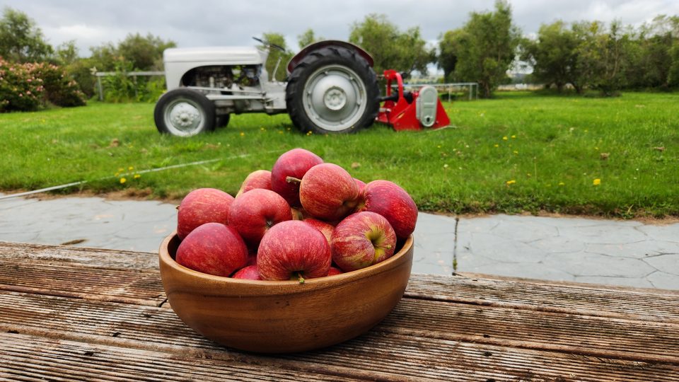 A wooden bowl of freshly picked red apples on a weathered table with a tractor behind