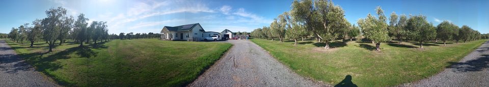 A 360 degree panorama from the driveway showing the house, sheds and olive grove all around